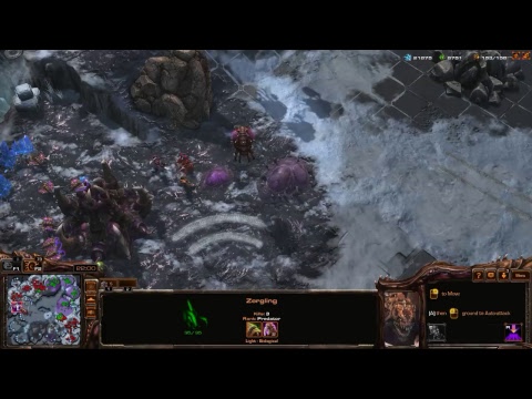 Starcraft 1440p ultra