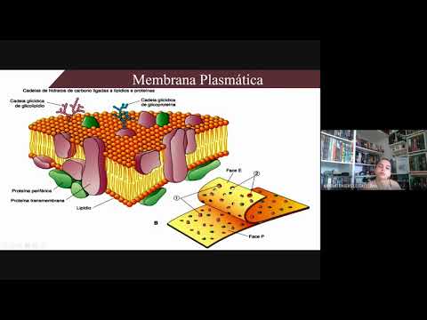 Histologia - Introdução à Histologia
