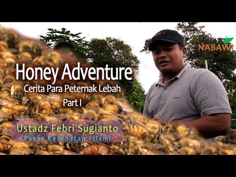 , title : 'Mengunjungi Peternak Lebah Binaan Sehat Nabawi'