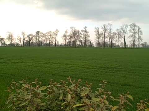 The site of the Battle of Formigny 100 Years War