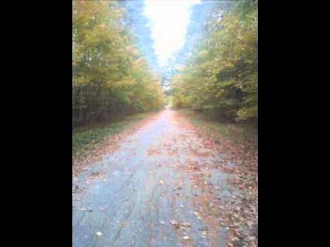 Gillian Welch - Patiently Waiting