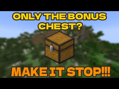 Beating Minecraft With ONLY The Bonus Chest