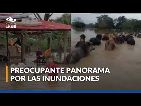 Videos de las inundaciones en Córdoba: nuevo frente frío podría empeorar la situación