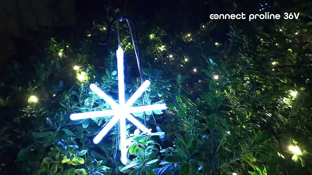 Animated Polar Stars