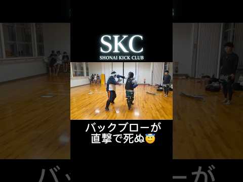 キックボクシング歴1年のスパーリング🥊スロー解説有り、実力は互角か！？