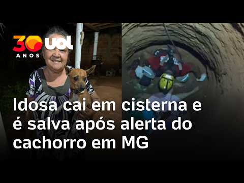Cachorro 'chama por ajuda' para salvar idosa que caiu em cisterna em MG