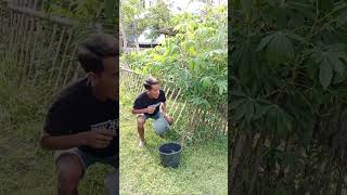 Download lagu pokonya mandi terus 😂😂 #hiburanviral #comedy #funny #lucu mp3