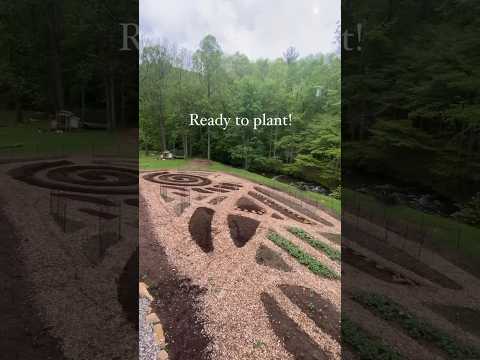 How I built out my Permaculture Garden from Scratch #vegetablegarden #gardendesign