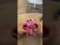Testing The Unbreakable Pig