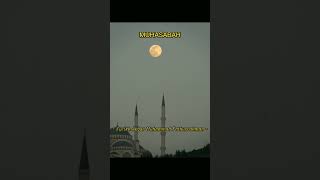 Download lagu MUHASABAH | Syeikh Akbar Muhammad Fathurrahman. #shorts #dakwah#tasawuf mp3