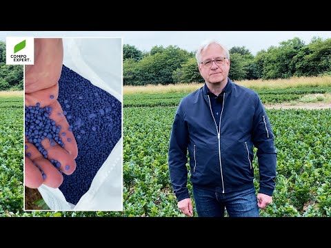 Effiziente Düngung im Gemüsebau mit NovaTec®
