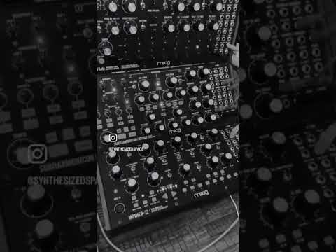 Happy Tuesday #moogsoundstudio #korg #electronicmusic #korgsynth #music #art #moogsynthesizer