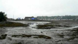 preview picture of video 'Bass Harbor Maine Low Tide - the Lay of the (Undersea) Land'