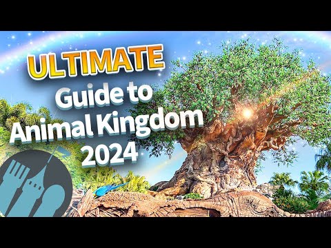 The ULTIMATE Guide to Animal Kingdom in 2024