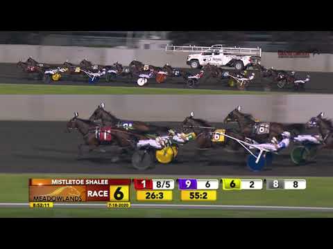 JULY 18, 2020   MISTLETOE SHALEE