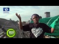 Eco Africa South Africans Are Transforming Roofs Into Gardens
