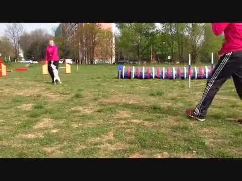 Agility trénink Bratislava - Lancelot Paleur