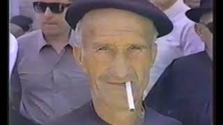 TOMELLOSO. CONCENTRACION DE BOINAS EN LA PLAZA (1971)