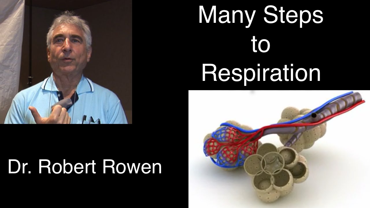 Dr. Rowen discusses oxidation and healing with LiveO2