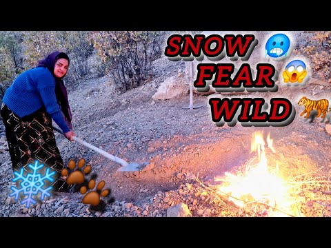 The Shocking Story of a Homeless Mother and Her Son Surviving in the Wild