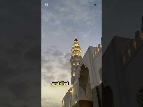 Who Are the Sahaba? 🤍 #Sahaba #Companions #Islam #Faith #Shorts #quotes #motivation #peace #faith