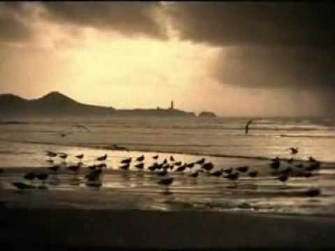 download lagu mp3 mp4 Nazende Sevdiğim Yadıma Düştün, download lagu Nazende Sevdiğim Yadıma Düştün gratis, unduh video klip Nazende Sevdiğim Yadıma Düştün