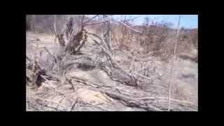 Theatre Project-Absurdity