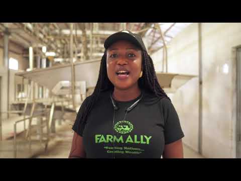 Farm Ally's new beef processing plant