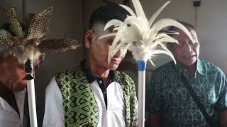 Download lagu Nimang Kelingkang Panggau Tuah,Penuh Adat Tradisi Dayak. mp3