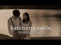 Kaninima Neele Slowed Reverb