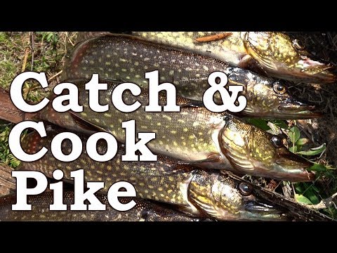 Catch n Cook Pike | Wild Spring Edibles | Burdock, Wild Mint, Nettle, Cattail, Garlic Mustard Video