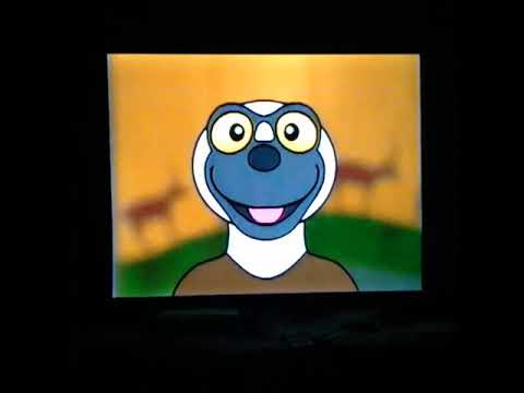 Zoboomafoo the little baby Foal🐴 horse she is a💜Filly