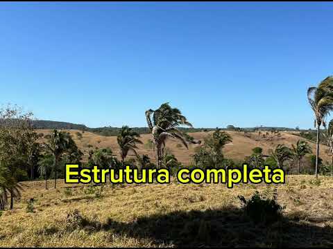 FAZENDÃO EXTRA NO ESTADO DO TOCANTINS, (63)984079880