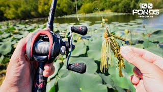 Fishing A JIG Around Lily Pads For Pond LUNKERS? (100 Ponds Ep. 55)
