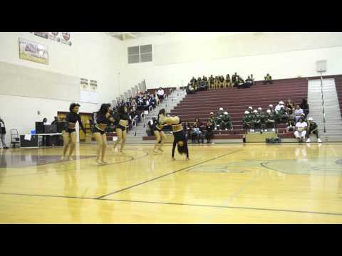 Warren County HS "Platinum Ice" Stands Battle #1 @ King's Fork 2016