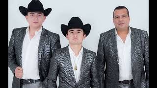Será que estoy enamorado - Los Plebes del Rancho de Ariel Camacho