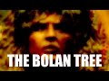 Glyn Bailey - The Bolan Tree (Official Music Video)