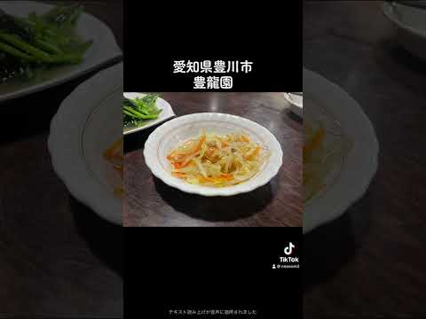 Um surpreendente restaurante chinês localizado na cidade de Toyokawa. O que irá surpreendê-lo é o que você pode esperar depois de chegar.