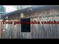 Tour Pela Minha Casinha Tour MinhaRealidade