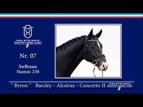 Holsteiner Körlot 2018 | Nr. 7 - BYRON v. Barcley - Alcatraz