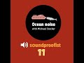 11 | Ocean noise - with Michael Stocker
