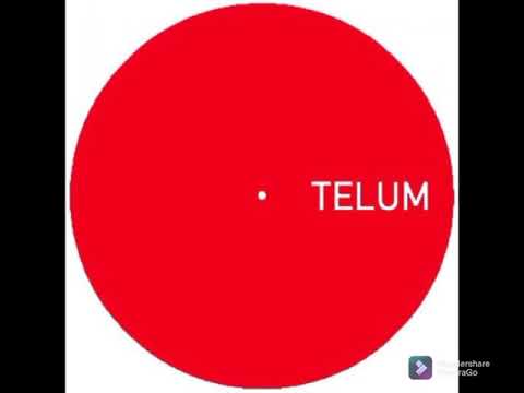 Unknown Artist - Untitled B2 [TELUM007]　Supported by Raresh、Petre Inspirescu、Cristi Cons、Barac