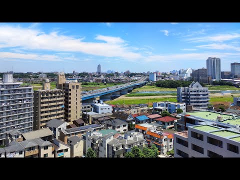 Live Tokyo Walk - Morning Along Tama River 東京多摩川散歩