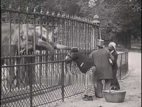 Odyssée d'un paysan à Paris (1905) A Countryman in Paris (Pathé)