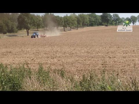 165. Feldexkursion: Aussaat von Zwischenfrüchten und Raps - NU Agrar, 05.08.2020