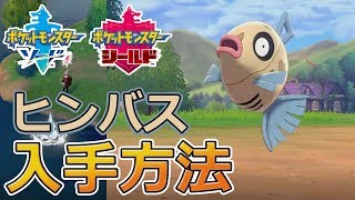 ヒンバス ポケットモンスター メルタン パッチラゴン ポットデス