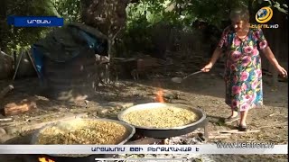 Արցախում թթի բերքահավաք է