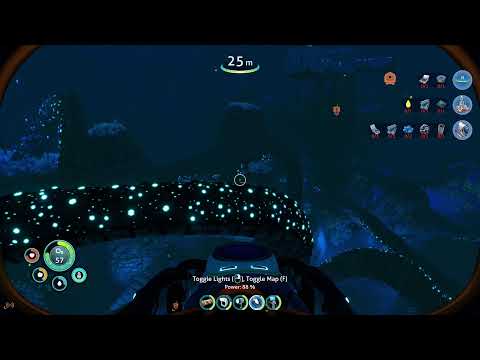 João Moreira Live Stream