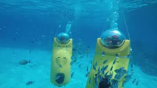 Download lagu Bora Bora Underwater Scooter - by Bora Bora Ocean Adventures , French Polynesia mp3 Download lagu Bora Bora Underwater Scooter - by Bora Bora Ocean Adventures , French Polynesia mp3