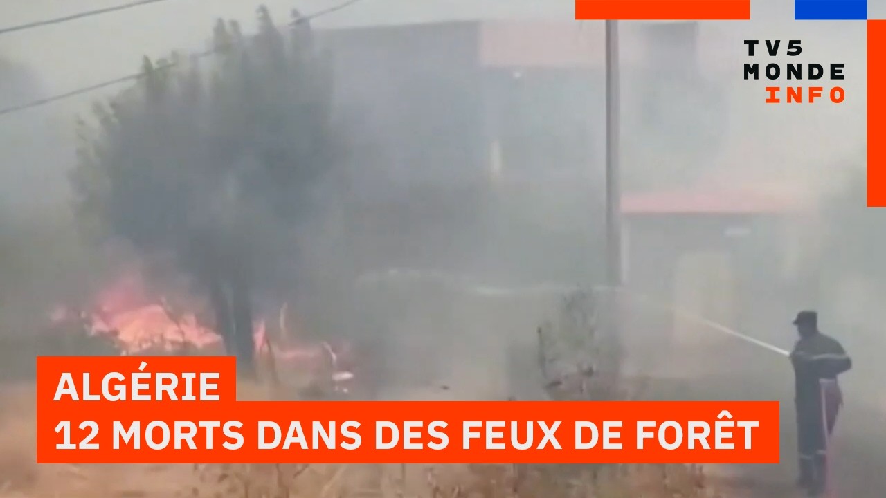 Algérie : Trois jours de deuil après des feux de forêt meurtriers